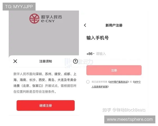 多功能的ag手机app下载入口，满足不同玩家的多样需求